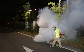 Hanoi steps up dengue fever, Chikungunya prevention ahead of National Day holidays