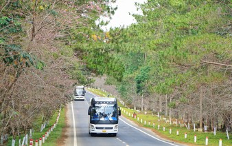 Vietnamese Central Highlands’ tourist town packed for National Day holiday