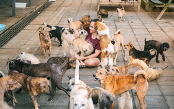 Vietnamese woman provides rescue shelter for abandoned animals