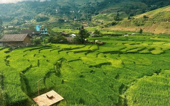 The cinematic green rice season in Vietnam’s Sa Pa few talk about