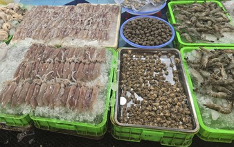 From roadside stalls to tourist magnet: Vung Tau’s Xom Luoi bustling seafood market