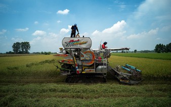 Vietnam overtakes Thailand to become world's 2nd-largest rice exporter