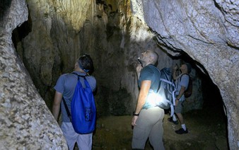 New species teem in Cambodia's threatened karst