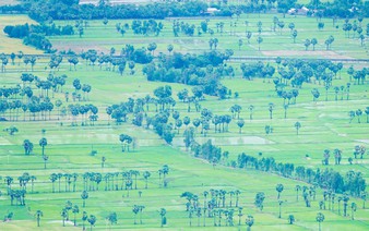 Tourists flock to An Giang’s sugar palm fields, historic caves during National Day holiday