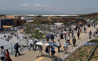 Southeast Asian pavilions drawing crowds at Osaka Kansai Expo: What are the key attractions for each country?
