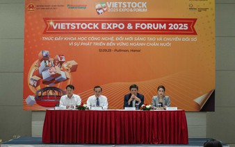 Vietnam endorses development of high-rise pig farms