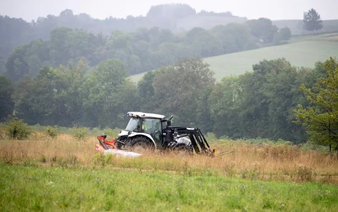How mowing less lets flowers bloom along Austria's 'Green Belt'