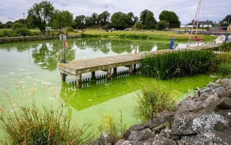 UK's largest lake 'dying' as algae blooms worsen