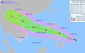 Storm Bualoi might reach level 12 over East Vietnam Sea
