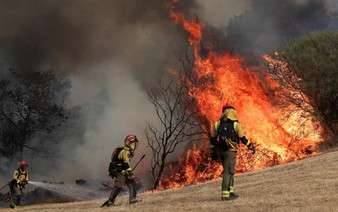 Spain's summer of wildfires fuels calls for better forest management