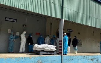 CEO of Vietnam's Halong Canfoco charged in diseased pork probe