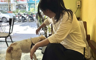 In Vietnam, higher fines for apartment pets fail to curb violations