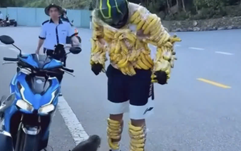 Authorities verify video of foreigner strapping bananas on body to tease wild monkeys in Da Nang
