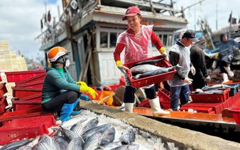 US bans import of seafood from 12 Vietnamese fisheries from January 1