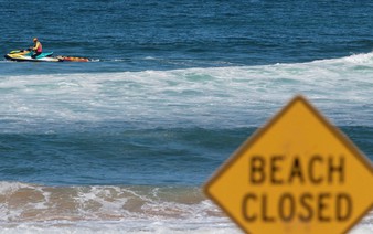 Australian boy dies after shark attack in Sydney Harbour