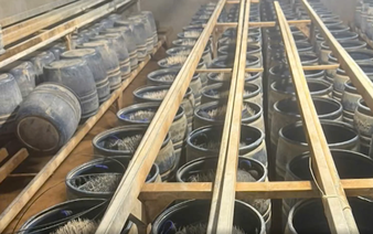 2 bean sprout producers charged for allegedly using banned substance in northern Vietnam