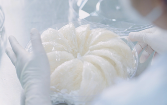 Swiftlet farming emerges as new competitive advantage for Ho Chi Minh City’s Can Gio