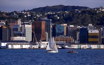 New Zealand launches review of medical portal hack