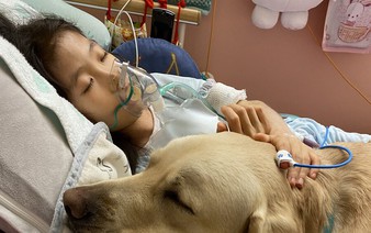 Facility dogs comfort hospitalized children in Japan