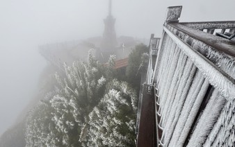 Fansipan plunges to -3°C as frost blankets Vietnam's highest peak