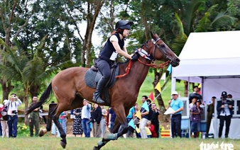 Vietnam weighs new rules for horse, dog, and international football betting