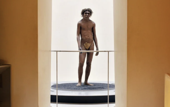 Fossils discovered in Morocco shed light on our African roots
