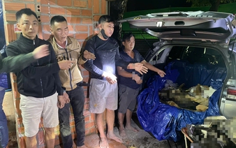 Vietnam police bust major dog-theft ring, seize 1.6 tonnes of stolen dogs