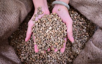 Vietnamese coffee wins over Amazon shoppers, eyes premium prices