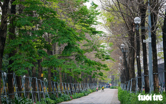 Hanoi plans to give every street its own signature tree