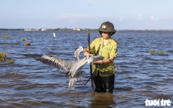In Vietnam’s flooded fields, wild birds fall into invisible, cruel traps