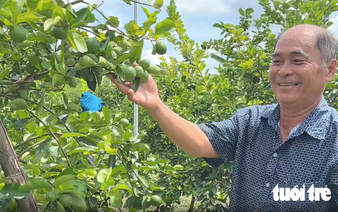 Vietnam's Dong Thap farmers export hundreds of tonnes of seedless limes to Europe annually