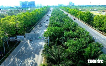 Hanoi bans 18 tree species from public spaces