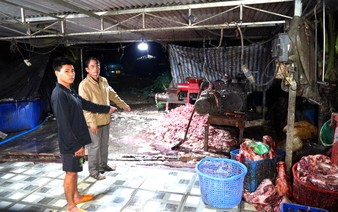 Police bust ring selling 400 tonnes of meat from diseased, dead pigs in southern Vietnam
