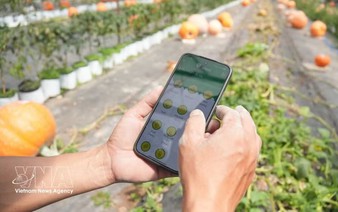 Vietnam steps up sci-tech application in agriculture