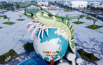 Southernmost Vietnam province to host festival featuring shrimp-catching, fishing contests