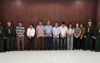 Ho Chi Minh City police bust banned-substance pig fattening ring, 10,000 tonnes of tainted pork sold