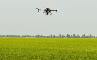 6,000 drones deployed in agriculture across Mekong Delta farmlands in Vietnam