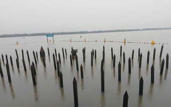 When a small Vietnamese team outsmarts a giant