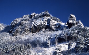 Vietnamese woman dies while climbing mountain in Japan: media