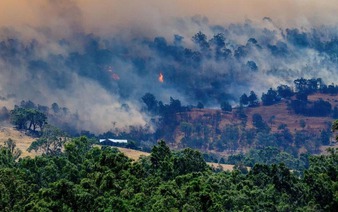 Residents in Australia's Victoria state urged to evacuate as bushfire rages