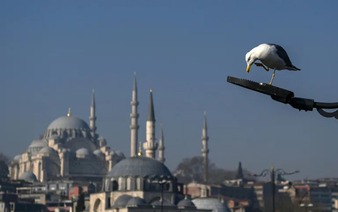 Nearly an own gull! CPR performed on bird at Turkey football match