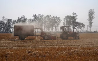 India lifts wheat stock limits as supplies rise