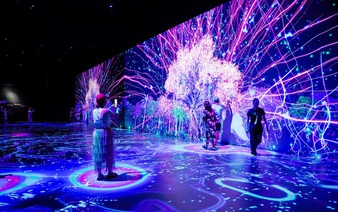 What are Vietnamese consumers spending on entertainment?