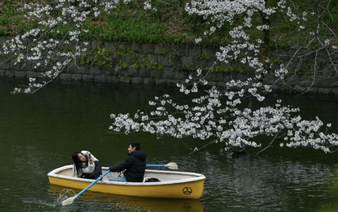 'Perfect Japan' posts spark Gen Z social media backlash