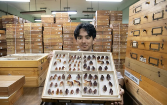 Philippines' 'Cockroach Lord' goes to bat for misunderstood bugs