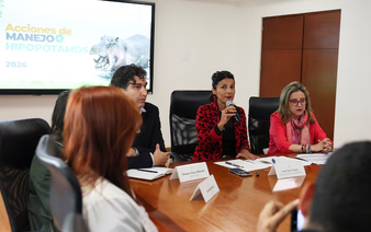 Colombia to control hippo population through euthanasia