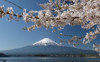 Rising interest in Japan's traditional culture and the four seasons