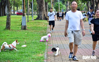 Unleashed dogs raise safety concerns in Ho Chi Minh City public places