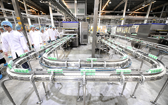 Ho Chi Minh City serves as fertile ground for businesses to rise