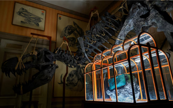 Dinosaur collagen used to create one-of-a-kind handbag